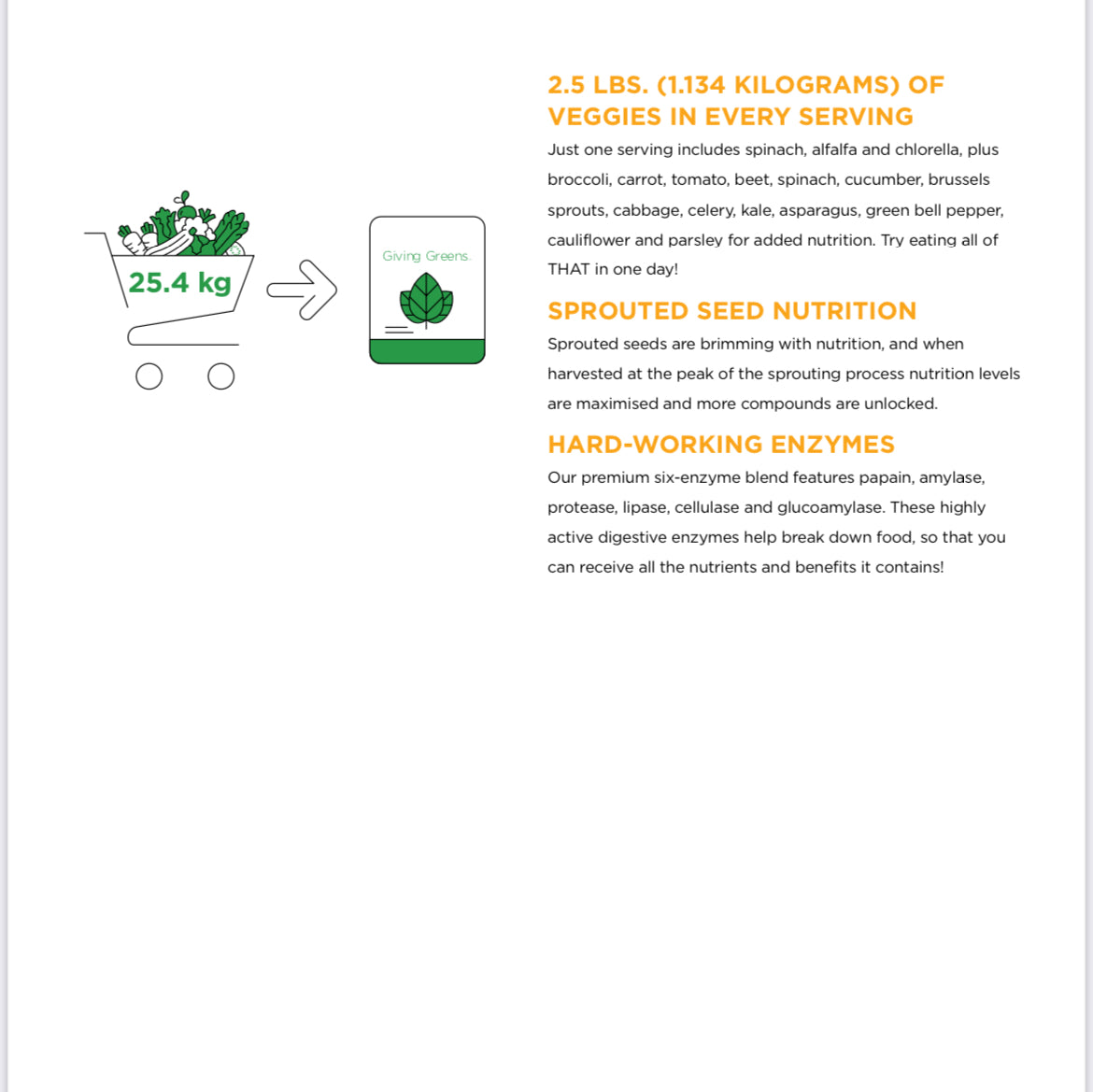 „Super-Greens“ – Saft mit über 1 kg Superfoods pro Portion